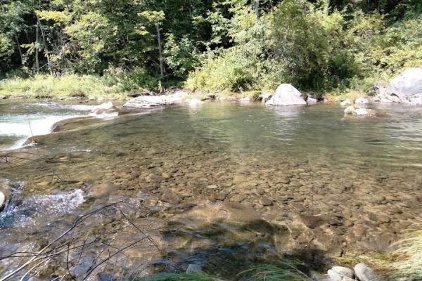 Beaverkill Trout Hatchery (Livingston Manor)