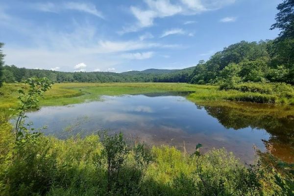 Frick Pond Loop (Livingston Manor)